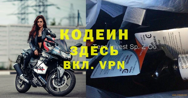 прущие грибы Балабаново