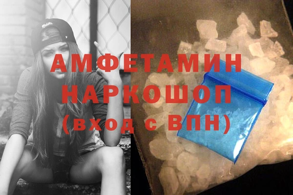 прущие грибы Балабаново