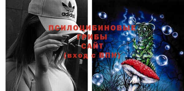 прущие грибы Балабаново
