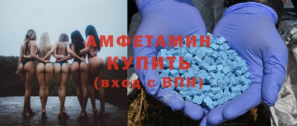 прущие грибы Балабаново