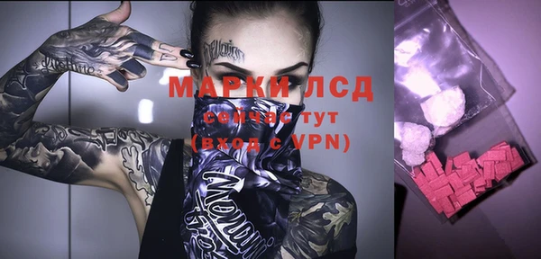 прущие грибы Балабаново