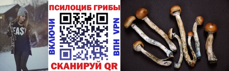 Псилоцибиновые грибы прущие грибы  mega сайт  Семикаракорск 